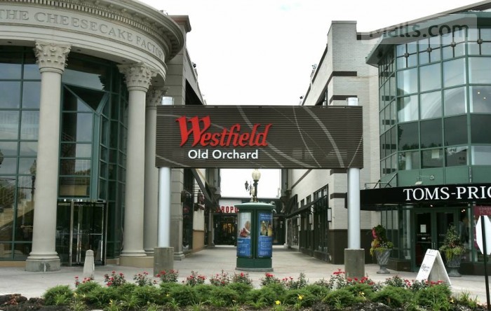 The Cube at Westfield Old Orchard, Skokie, IL - Syska Hennessy Group